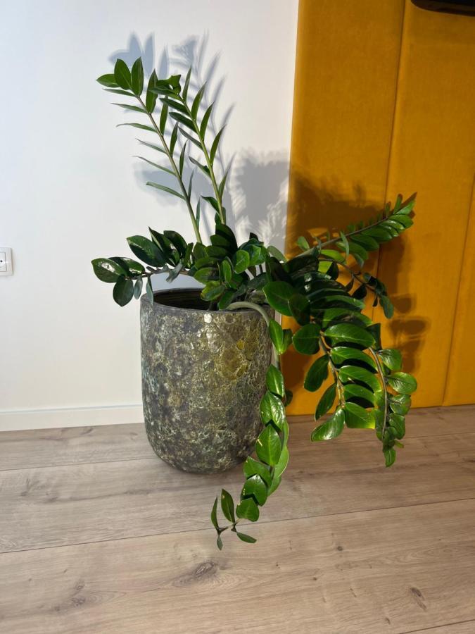 Sofia Apartment & Zimmer Sillweg Naehe Rebull Ring Fohnsdorf Eksteriør bilde